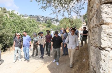 Summer Human Rights Volunteer Opportunities in Palestine