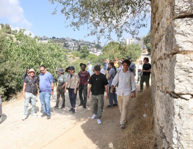 Summer Human Rights Volunteer Opportunities in Palestine